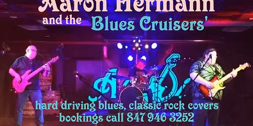 Aaron Hermann and the blues cruisers @ Cudas sat March 28!!!