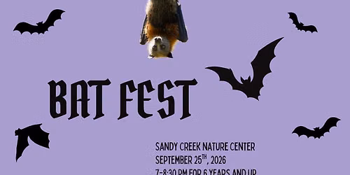 BAT FEST