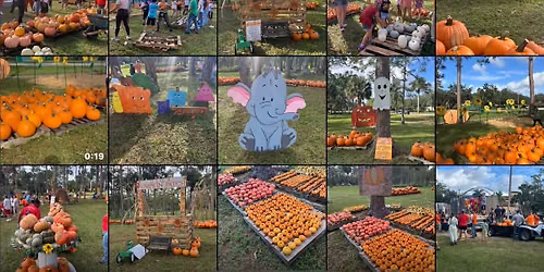 Pumpkin Delivery Day at OLQA