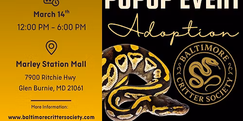 PopUp Event - Young Entreprenuers Day