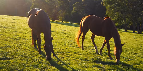 Nourish & Replenish PD Day