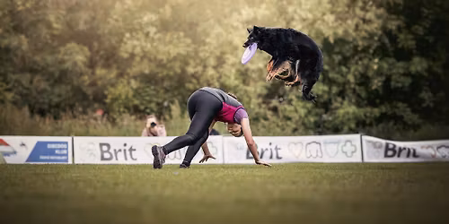 Agility + dogfrisbee + dogfitness t\u00e1bor \u010cernot\u00edn 2026