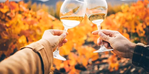 Cookies & Cocktails: Fall Edition with Courtney Cut Outs 