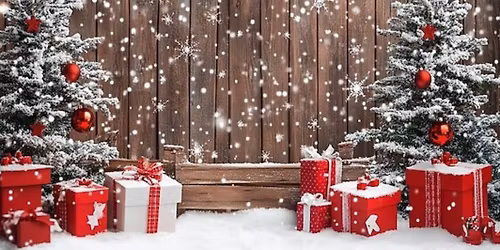 Annual Raymond Christmas Mall