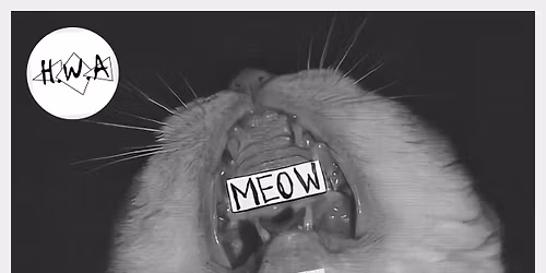 Resonant Bodies X Sullow + Joe Bolger + Ben Gaunt + Charity Stow