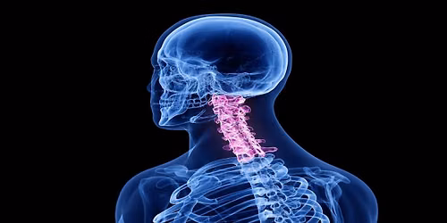 CBP\u00ae Cervical Rehab
