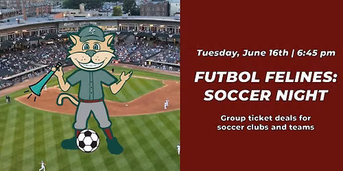 Futbol Felines: Soccer Night