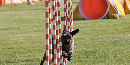 Urban Tracking Workshop