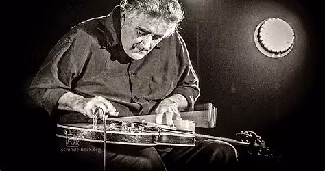 Fred Frith & Walnut Brain