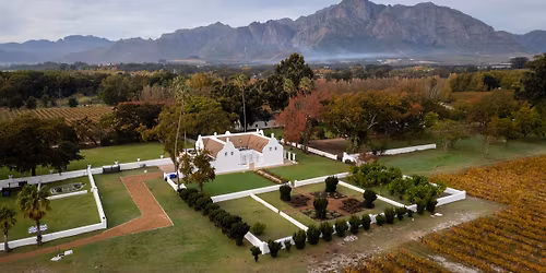 Wild in the Winelands