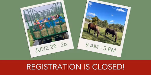 Summer Camp (Ages 5-9)