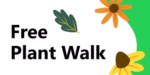 Plant Identification and Foraging 101 - Trout Lake