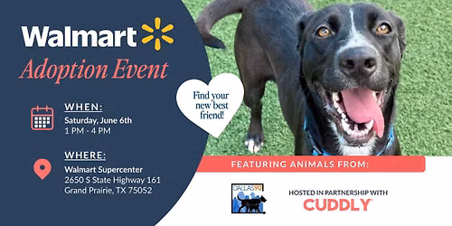 Walmart Adoption Event | Grand Prairie, TX
