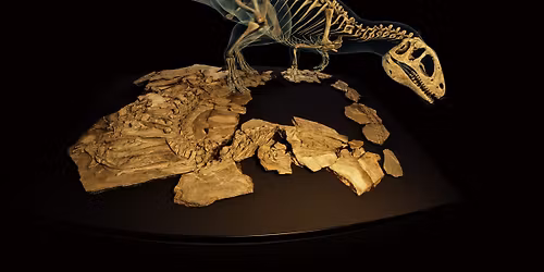 Dinosaurs: A Story of Survival