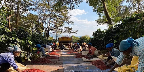 ADL \u2022 Curated Cupping: Get It India