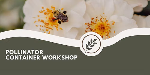 Pollinator Planter Workshop