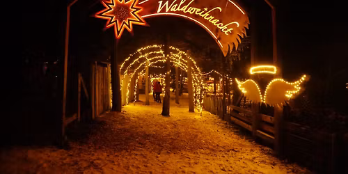Waldweihnacht Forsthart 2025