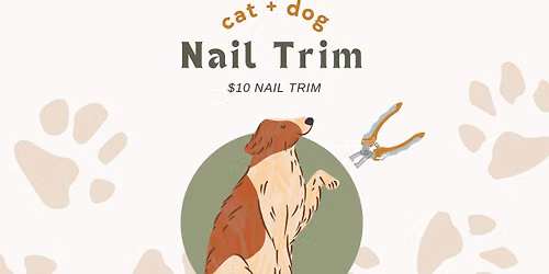 $10 Nail Trims
