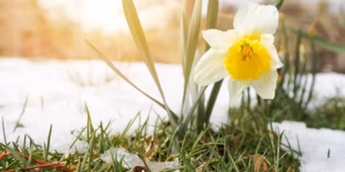 Illumination Station 