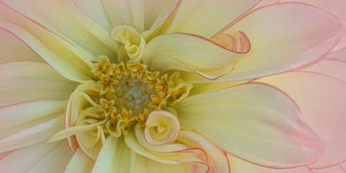 Monthly meeting and photographic competition