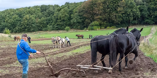 Efter\u00e5rets dag - f\u00e5r og markarbejde