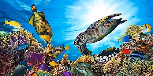 \u2600\ufe0fSummer Week 7 - Australia & Oceania, Natural Wonders