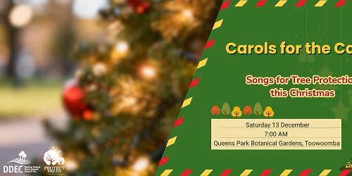 Carols for the Canopy
