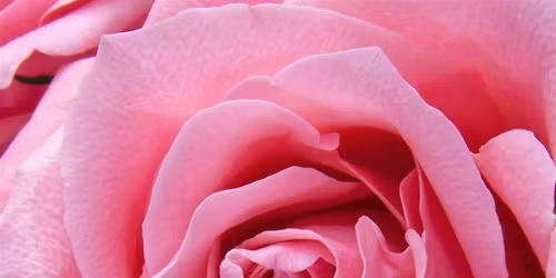 Perimenopause Retreat \u2022 Leicester \u2022 A deeply restorative somatic escape