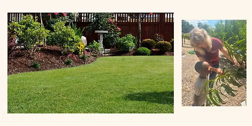 Growing Healthy Lawns with Texas A & M