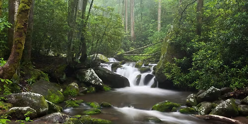 Womens Only 2 Day \/ 1 Night Great Smoky Mountains Backpacking Trip with Happy Hiking Co.