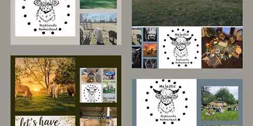 SOUND HEALING WITH THE HIGHLAND COWS!!\ud83d\udd14\ud83d\udc2e
