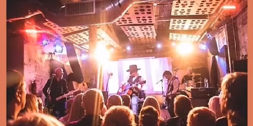 King of Birds plus guests Sulidae