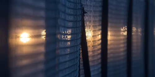 Political Insights: Refugee protection in turbulent times