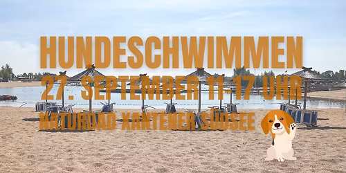 Hundeschwimmen 