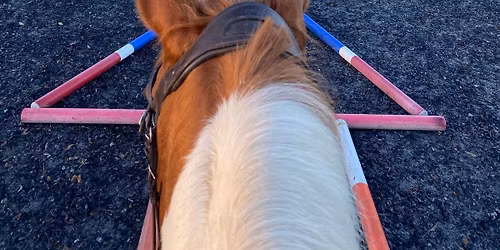 \ud83c\udf84Christmas Poles \ud83c\udf84