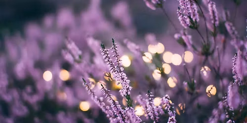 A HOLDING SPACE: SEXUAL TRAUMA SUPPORT GROUP