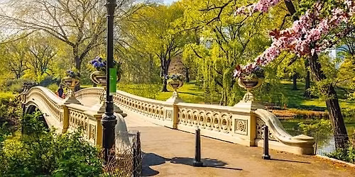 Copy of Central Park Social Walk (50s & Over)