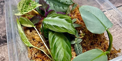 Propagation + Plants 101