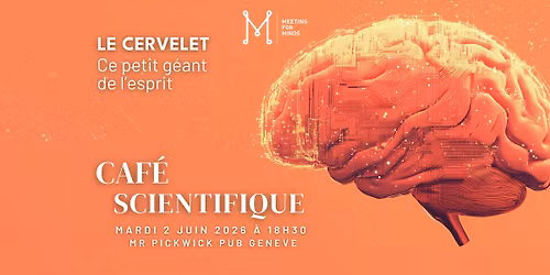 Caf\u00e9 Scientifique: Le Cervelet, ce petit g\u00e9ant de l'esprit