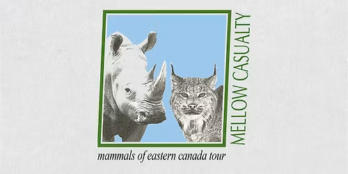 Mammals of Eastern Canada: Toronto