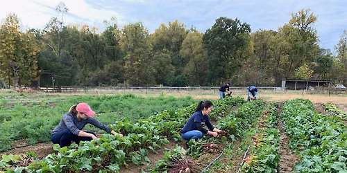 Arcadia Open Volunteer Saturday - OCTOBER