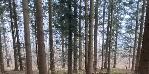 Hrimnir juletur 2025