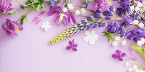 Middleton House Spring Fayre