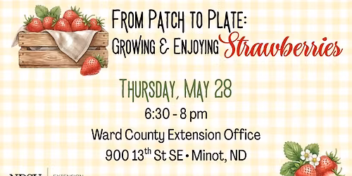 From Patch to Plate: Growing & Enjoying Strawberries