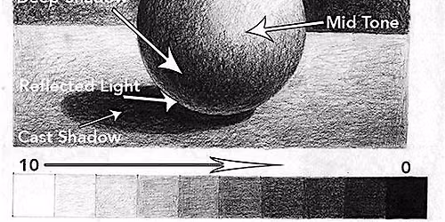 Intro to Drawing: Value & Still Life (Two-Part Workshop)