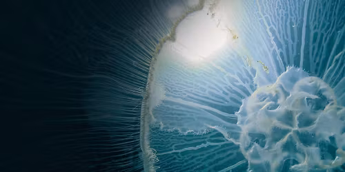Deep Shift: Into the Ocean Opening Symposium