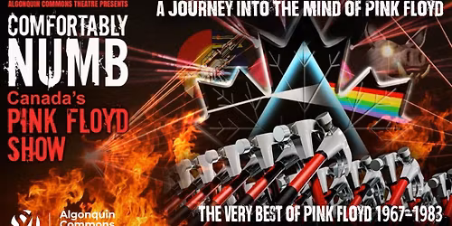 Comfortably Numb - Canada's Pink Floyd Show