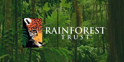 Stanley\u2019s Annual Rainforest Support Day!