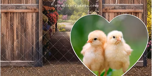 \ud83d\udc25 Little Peeps Easter Minis