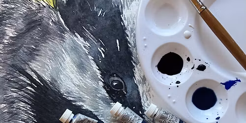 Nature in Watercolours at the Naze \u2018Badgers\u2019 with Vivien McGuinness